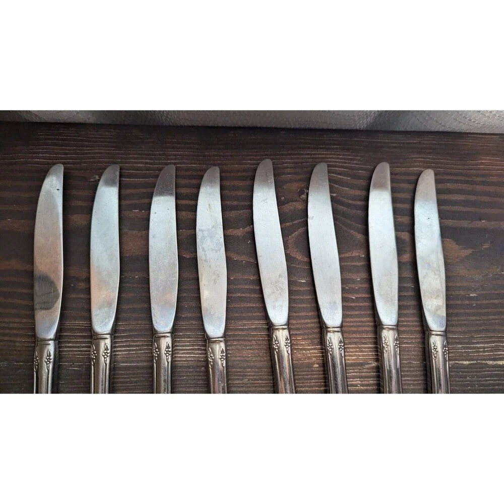 WM A Rogers Deluxe Oneida Ltd Mansfield Amadeus Stainless 19 Random Piece Set